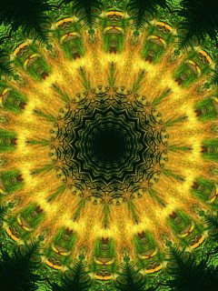 0423_112.gif